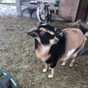 Meet your Posher, Lori